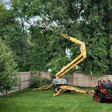 Best Stump Grinding and Removal  in Byron, MN